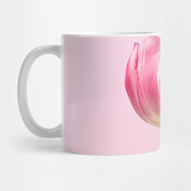 Pink Tulip by NewburyBoutique